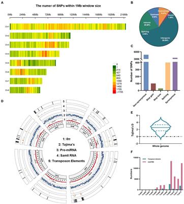 Genome-wide association study of traits in sacred lotus uncovers MITE-associated variants underlying stamen petaloid and petal number variations